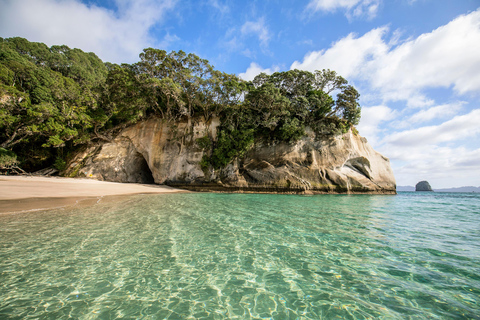 CATHEDRAL COVE &amp; HOT WATER BEACH Tagestour ab Auckland