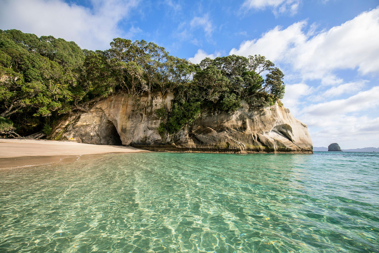 CATHEDRAL COVE & HOT WATER BEACH Day Tour from Auckland