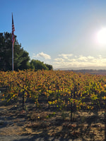 Tour di degustazione di vini inclusi di un'intera giornata da Santa Ynez Valley - Hizvo