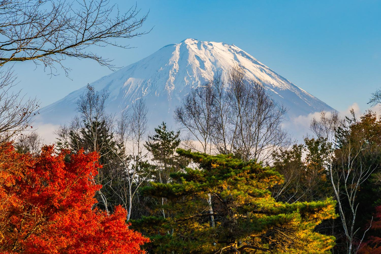 Tokyo: Mt. Fuji Private Scenic Tour with Customizable Stops