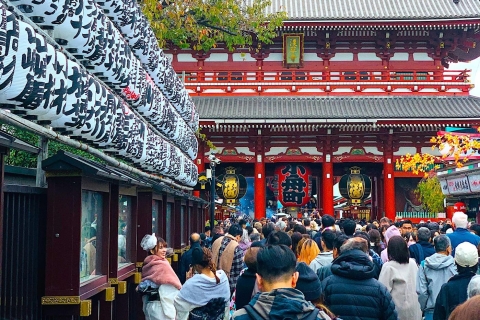 10-Day Private Sightseeing Tour in Japan with Guide