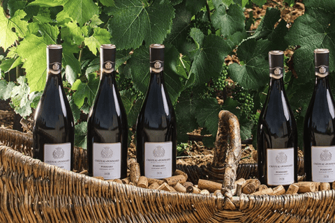 Pommard: Clos Marey Monge Signature Wine Tasting