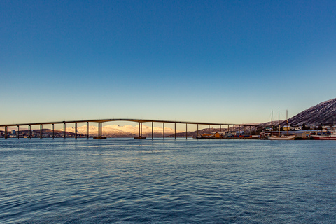 Tromsø: Cruzeiro noturno à luz do Ártico com sopa de peixe