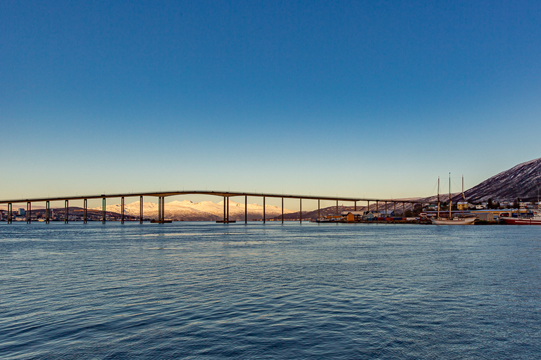 Tromsø: Wieczorny rejs w świetle arktycznym z zupą rybną