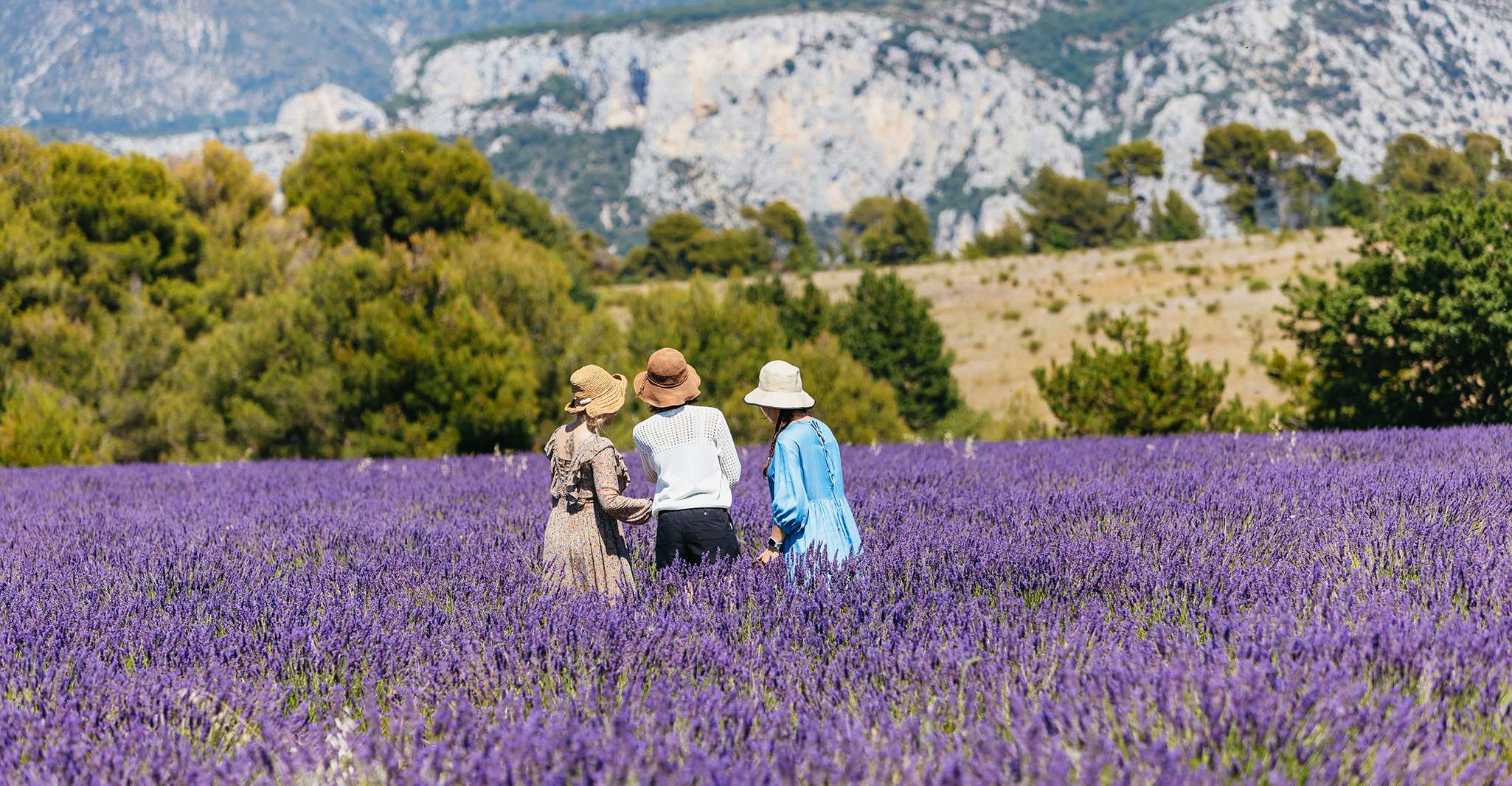 Nice, Gorges of Verdon and Fields of Lavender Tour - Housity