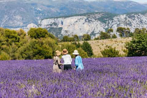 Nice: Gorges of Verdon and Fields of Lavender Tour