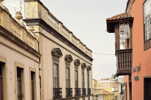 Puerto de la Cruz: Ascend Mount Teide on a quad bike to experience a magical sunset Individual Quad (1 person per quad)