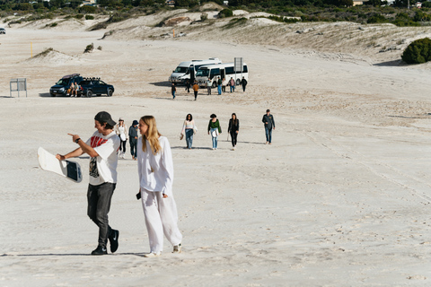 Deserto dei Pinnacoli: tour al tramonto da Perth