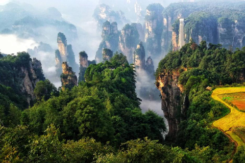 Zhangjiajie Private Day Tour: Rice Terraces,Elevator &Avatar Opt C: Private Transfer and Tour Guide – Downtown