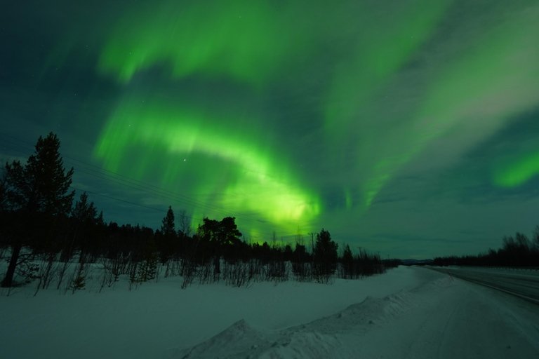 From Kiruna: Abisko National Park Northern Lights Tour