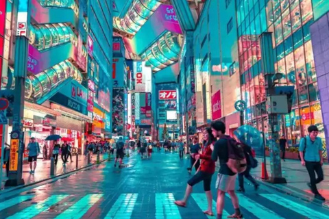 tour privado de 2 días por la ciudad de tokio y el monte fuji o tour por hakone