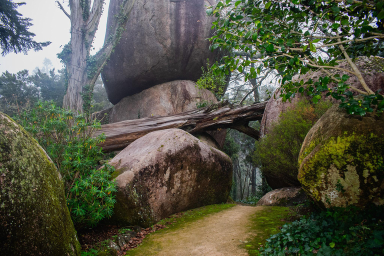 Sintra: Moorish Castle Guided Tour