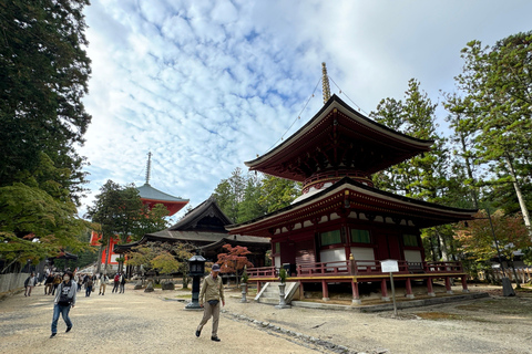 Z Osaki: prywatna wycieczka 1-dniowa z przewodnikiem do Koyasan (miejsce wpisane na listę UNESCO)