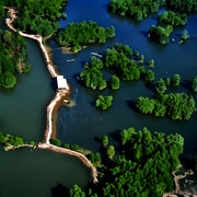 From Ho Chi Minh City: Can Gio Mangrove Birdwatching Tour