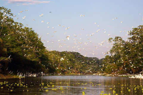 Intense Exploration: Adventure in the Selva de los Espejos