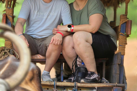 Sigiriya & Dambulla All Inclusive Day Trip Sigiriya & Dambulla All Inclusive Day Trip