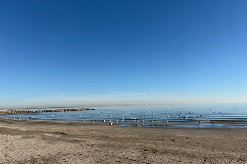 Lido di Venezia: Cycling Between the Sea and the Lagoon