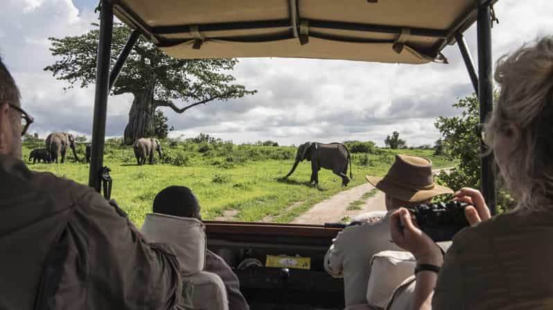 Safari de 6 jours au Maasai Mara et dans les lacs de la vallée du Rift