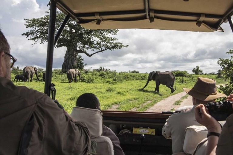 14-tägige Best of Kenia Wildlife Safari & Strandurlaub