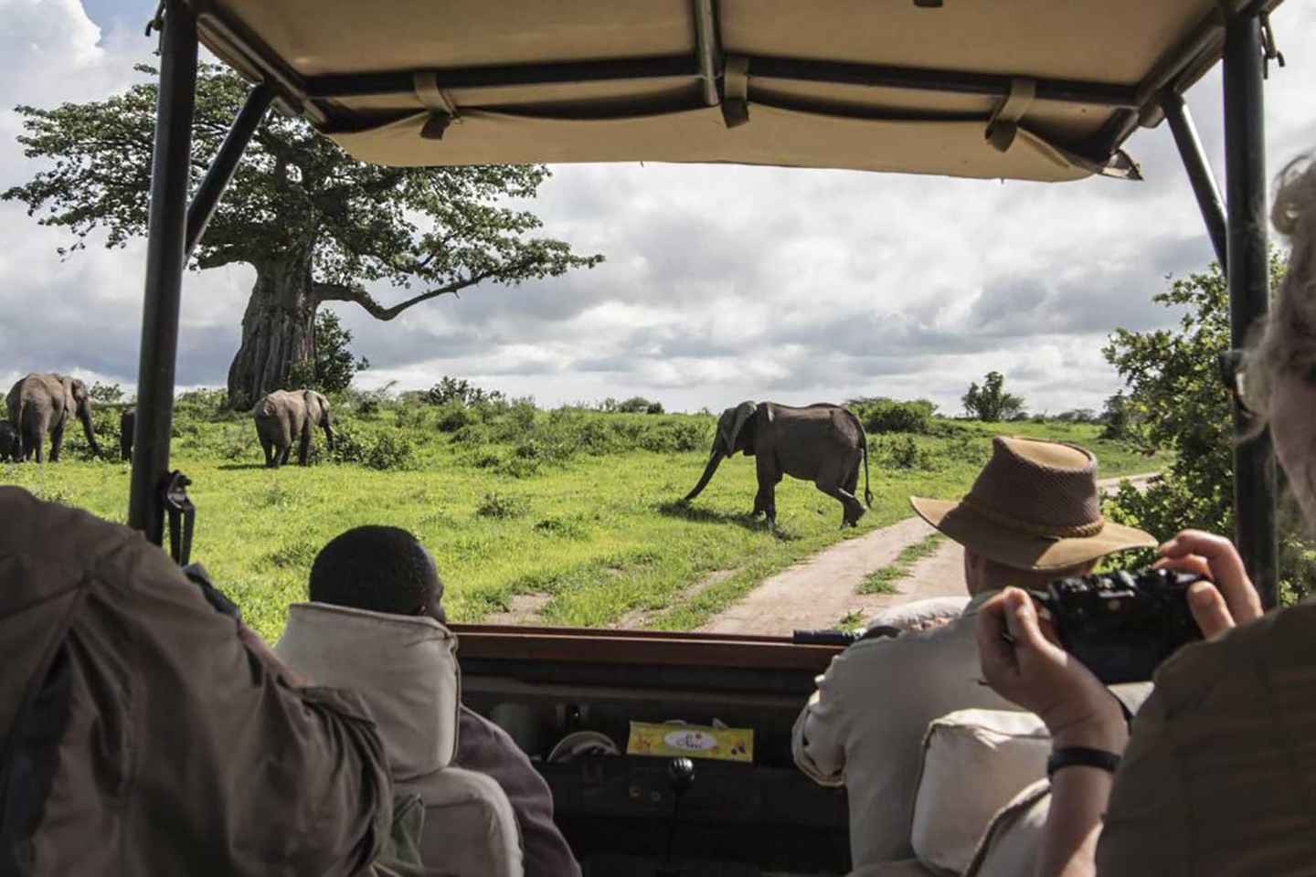 Game Drive Maasai Mara