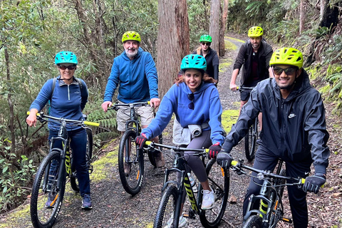 From Hobart: Mt Wellington Summit & Rainforest Bike Tour