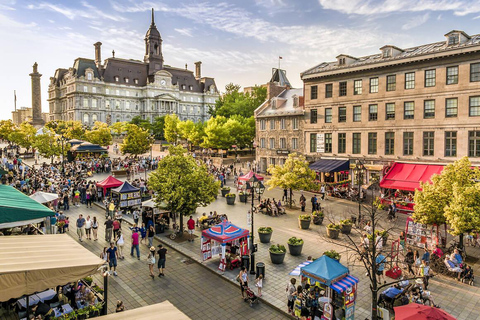 Montreal: Excursão guiada de meio dia na cidade