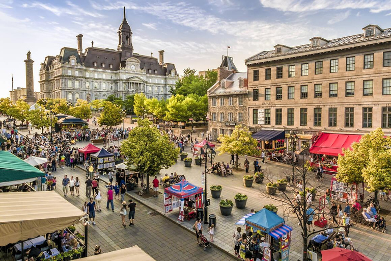 Montreal: Half-day Guided City Tour