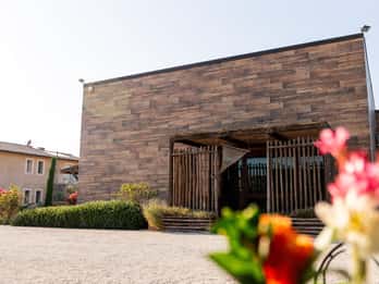 Bolgheri: Tour with wine tasting at Villanoviana
