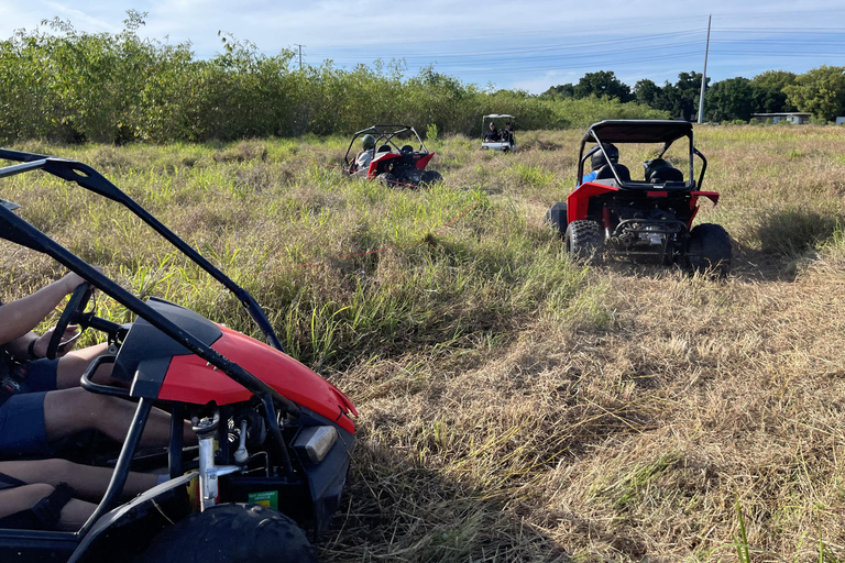 Fort Meade Aventuras en buggyAventura de 45 minutos por una sola pista