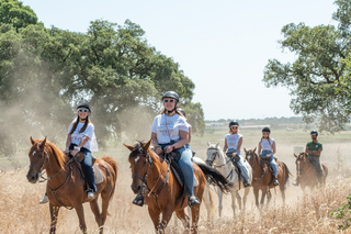 Horseback Riding Through The Beach GROUP - PDT