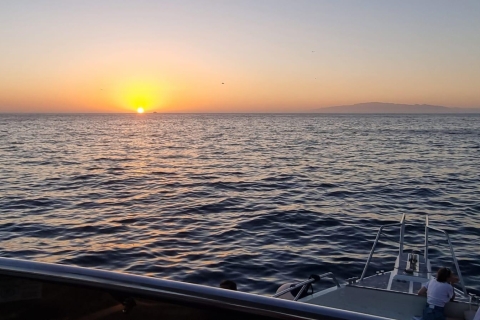 Los Cristianos: Zonsondergang tour ecojacht walvissen kijkenLos Cristianos: zonsondergang ecojacht walvissen kijken
