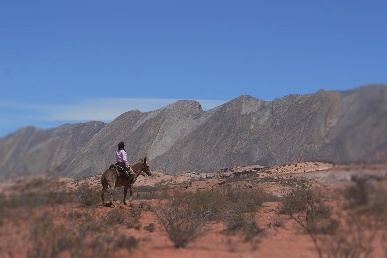 Horseback riding in the Calchaquí Valleys - Salta - Argentina