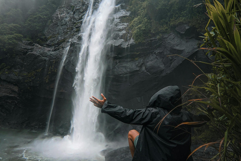 Colombo to Aberdeen Falls Train Tour with private vehicle