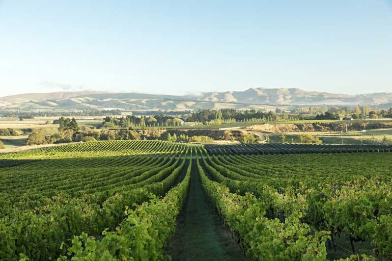 Giles Guided Tour - Local Wine Tours