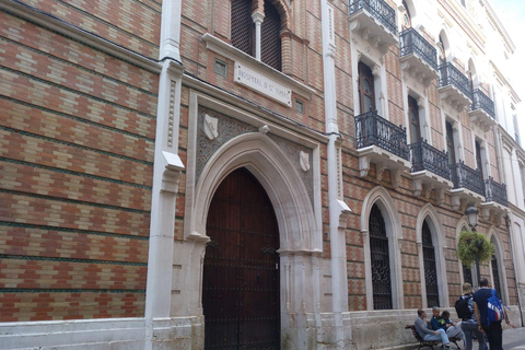 Malaga: Old Tour Walking Tour w/Cathedral & Picasso Museum