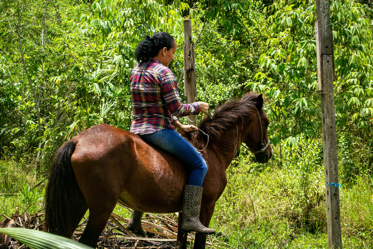 Luang Prabang: Guided Village & Forest Horse Trail Ride 1.5-Hours Guided Village & Forest Horse Trail Ride