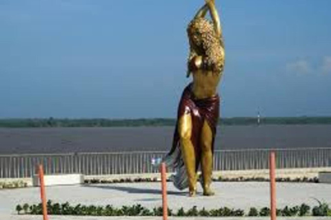 Check out the Mallorking Swamp Ecopark + the Magdalena River Mouth View of the Mallorking Ecopark + view of the Magdalena River mouth