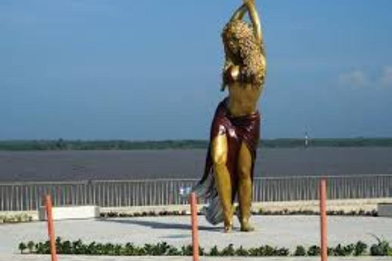 Check out the Mallorking Swamp Ecopark + the Magdalena River Mouth View of the Mallorking Ecopark + view of the Magdalena River mouth