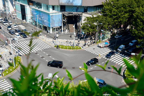 Tokio: wandeltour langs de hoogtepunten van Harajuku en Meiji JinguTijdreizen in Tokio: popcultuur in Harajuku en het Meiji Jingu-heiligdom