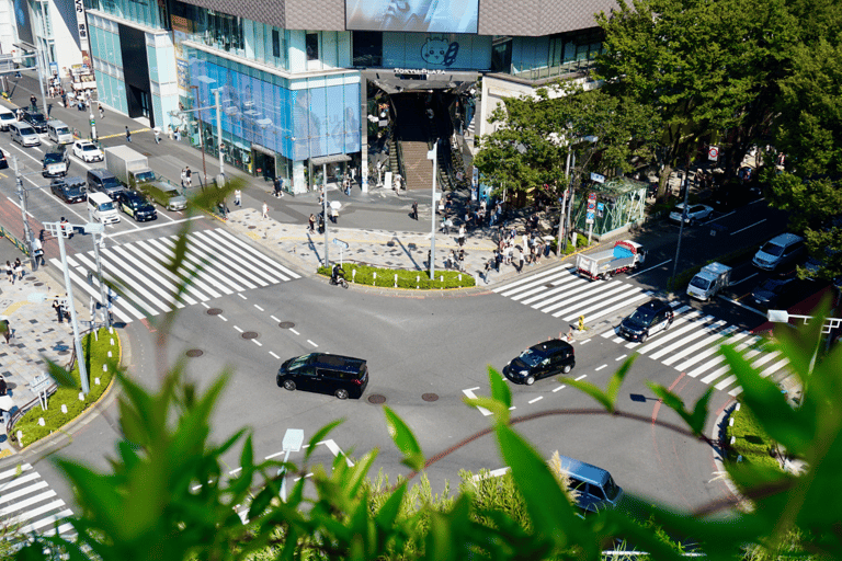 Tokio: wandeltour langs de hoogtepunten van Harajuku en Meiji JinguTijdreizen in Tokio: popcultuur in Harajuku en het Meiji Jingu-heiligdom