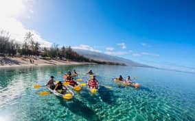  - Canarie.it