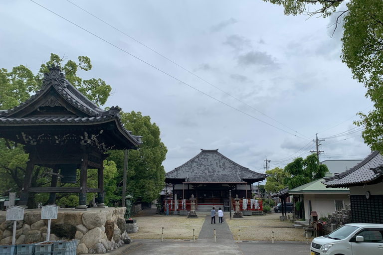 Nagoya: Besuch des morgendlichen Sumo-Trainings mit englischem Guide