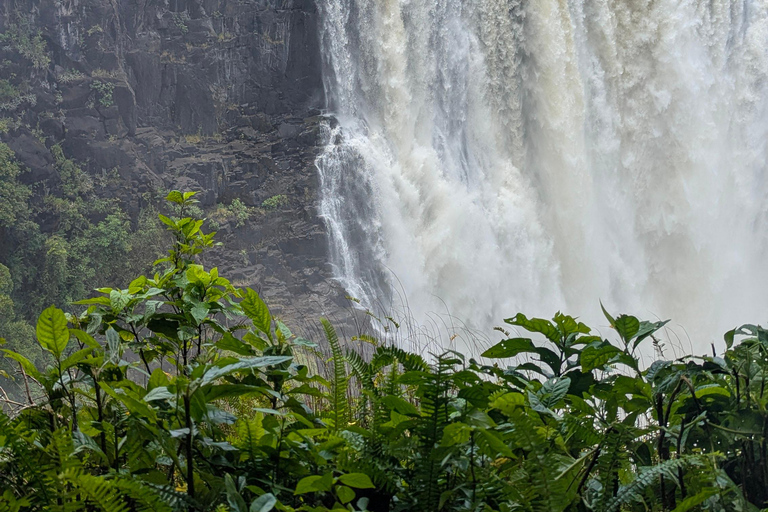 Victoria Falls Tour:Guided Walk with Female Guide