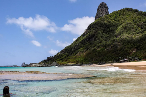 Discover Noronha: 7-Hour Ilhatour Adventure