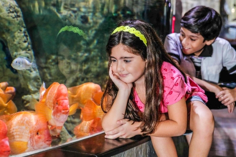 Dubaï : Billet à la journée pour l'aquarium et le zoo sous-marin