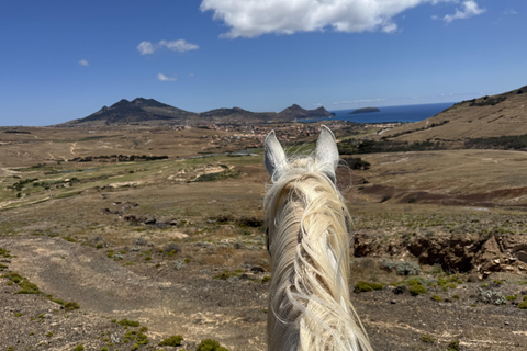 Isla de Porto Santo: Paseos a caballo180 min Aventura