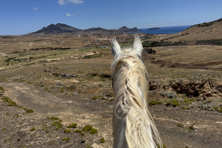 Isla de Porto Santo: Paseos a caballo180 min Aventura