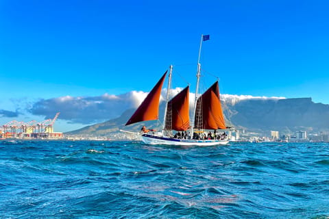 Cape Town: 1-Hour Table Bay Sailing Tour