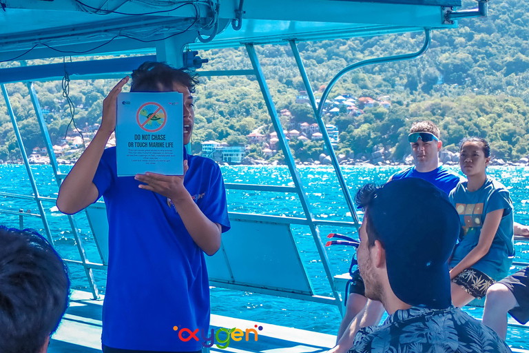 Koh Tao in a Day: Turtles, Hidden Reefs & Nangyuan Viewpoint