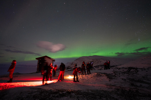 Kiruna: Abisko Northern Lights Tour with photos & transfers